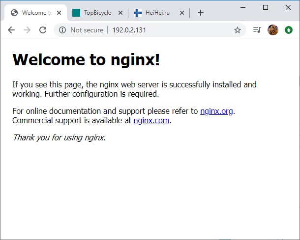 Nginx default www.andreyolegovich.ru